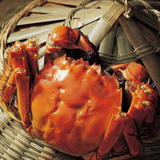 天天红-单只母蟹2.9-3.1两